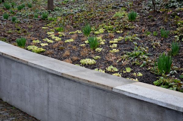 Yard Erosion Prevention