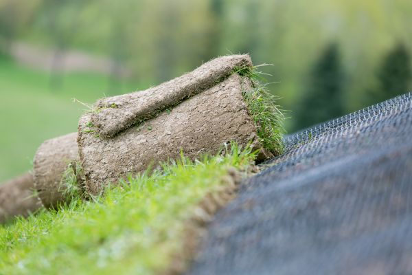 Turf Erosion Control