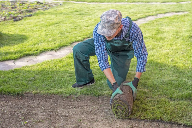 Lawn Erosion Repair