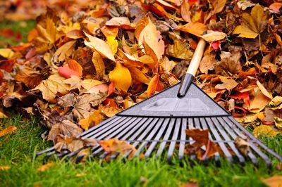 Autumn Yard Cleanup Tools
